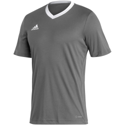 adidas Entrada 22 Trikot Herren tegrfo L