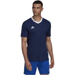 adidas Entrada 22 Trikot Herren tenabl S