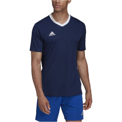 adidas Entrada 22 Trikot Herren tenabl S