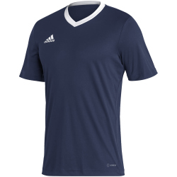 adidas Entrada 22 Trikot Herren tenabl XL