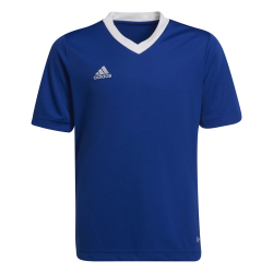 adidas Entrada 22 Trikot Kinder royblu 140
