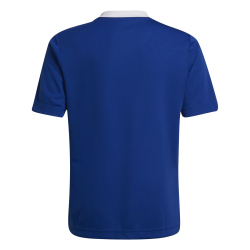 adidas Entrada 22 Trikot Kinder royblu 140