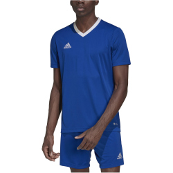 adidas Entrada 22 Trikot Herren royblu S