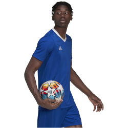 adidas Entrada 22 Trikot Herren royblu S