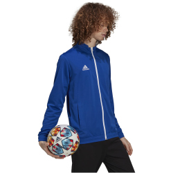 adidas Entrada 22 Trainingsjacke Herren royblu XS