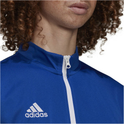 adidas Entrada 22 Trainingsjacke Herren royblu XS