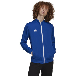 adidas Entrada 22 Trainingsjacke Herren royblu S
