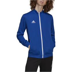 adidas Entrada 22 Trainingsjacke Herren royblu S