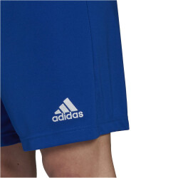 adidas Entrada 22 Fußball Shorts Herren AD8R - royblu XS