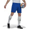 adidas Entrada 22 Fußball Shorts Herren AD8R - royblu XS