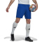 adidas Entrada 22 Fu&szlig;ball Shorts Herren HG6294 - team royal blue XS
