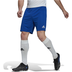 adidas Entrada 22 Fu&szlig;ball Shorts Herren AD8R - royblu S