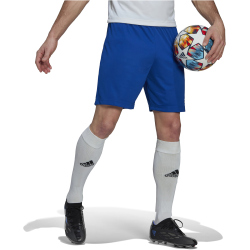 adidas Entrada 22 Fu&szlig;ball Shorts Herren AD8R - royblu S