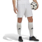 adidas Entrada 22 Fu&szlig;ball Shorts Herren 001A - white XXL