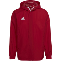 adidas Entrada 22 Allwetterjacke Herren tepore S