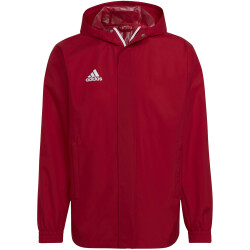 adidas Entrada 22 Allwetterjacke Herren tepore M