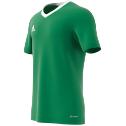 adidas Entrada 22 Trikot Herren teagrn/white S