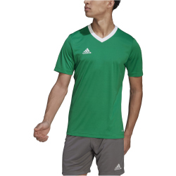 adidas Entrada 22 Trikot Herren teagrn/white M