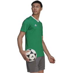 adidas Entrada 22 Trikot Herren teagrn/white M