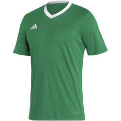 adidas Entrada 22 Trikot Herren teagrn/white XL