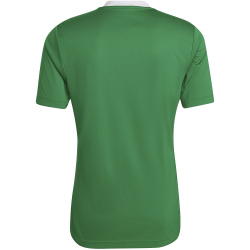 adidas Entrada 22 Trikot Herren teagrn/white XL