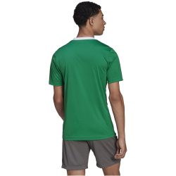 adidas Entrada 22 Trikot Herren teagrn/white XL