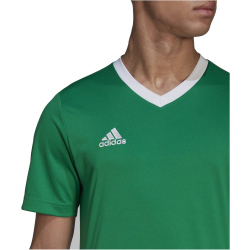 adidas Entrada 22 Trikot Herren teagrn/white XL