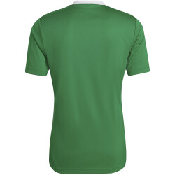adidas Entrada 22 Trikot Herren teagrn/white XXL
