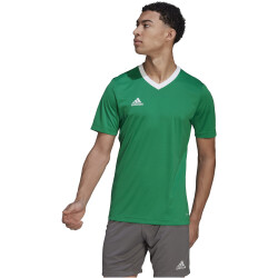 adidas Entrada 22 Trikot Herren teagrn/white XXL