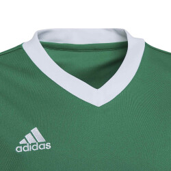 adidas Entrada 22 Trikot Kinder teagrn/white 116
