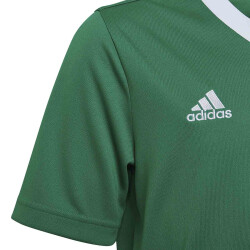 adidas Entrada 22 Trikot Kinder teagrn/white 116