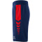 erima Six Wings Worker Shorts new navy/rot XL