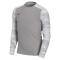 NIKE Park IV Dri-FIT Torwarttrikot Kinder