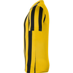 NIKE Dri-FIT Striped Division IV Herren kurzarm Fußball Trikot