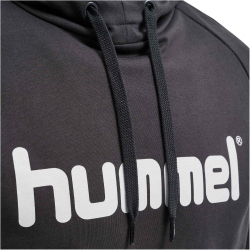 hummel GO Baumwoll Logo Hoodie Kinder