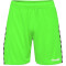 hummel Authentic Polyester Shorts