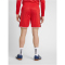 hummel Authentic Polyester Shorts