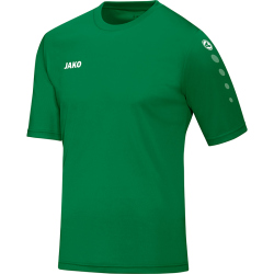 JAKO Team Trikot kurzarm sportgrün S