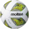 molten Trainings Fu&szlig;ball F5A3400-G wei&szlig;/gr&uuml;n/silber 5