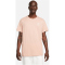 NIKE Paris Saint-Germain T-Shirt Herren