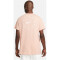 NIKE Paris Saint-Germain T-Shirt Herren