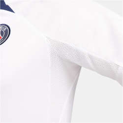 NIKE Paris Saint-Germain Strike Dri-FIT...