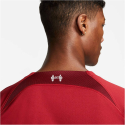 NIKE FC Liverpool 2022/23 Stadium Dri-FIT Heimtrikot Herren