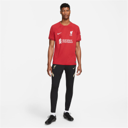 NIKE FC Liverpool 2022/23 Stadium Dri-FIT Heimtrikot Herren