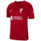 NIKE FC Liverpool 2022/23 Stadium Dri-FIT Heimtrikot Herren