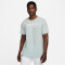 NIKE Paris Saint-Germain T-Shirt Herren aura S