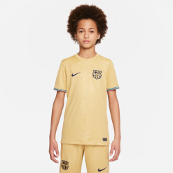 NIKE FC Barcelona 2022/23 Stadium Dri-FIT...