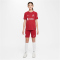 NIKE FC Liverpool Dri-FIT Heimtrikot 2022/23 Kinder tough red/team red/white XL (158-170 cm)