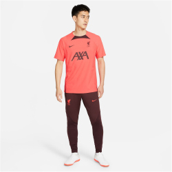 NIKE FC Liverpool Strike Dri-FIT lange Fu&szlig;ball Trainingshose Herren burgundy crush/siren red S