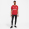 NIKE FC Liverpool 2022/23 Stadium Dri-FIT Heimtrikot Herren tough red/team red/white XXL
